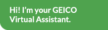 Hi! I\'m the GEICO Virtual Assistant!